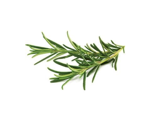 Click and Grow Smart Garden Plant Pod 3-pack, Rosemary