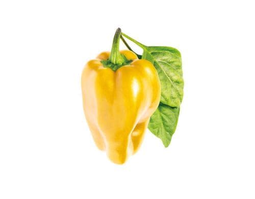 Click and Grow Smart Garden Plant Pod 3-pack, Yellow Sweet Pepper